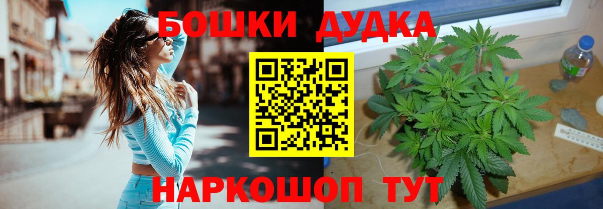 Каннабис индика  Бошки марихуана семена  Сатка  Каннабис Amnesia  Вход с VPN 